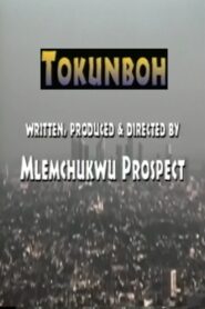 Tokunboh 1999 on netflix