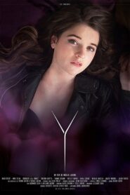 Y 2017 on netflix