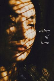 Ashes of Time 1994 on netflix