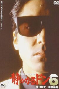 Quiet Don 6 1993 on netflix