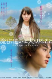 Someday’s Dreamers 2008 on netflix