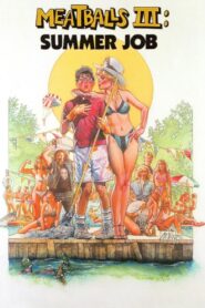 Meatballs III: Summer Job 1986 on netflix