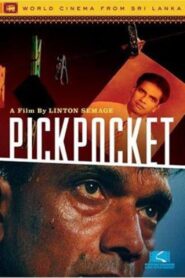 Pickpocket 2002 on netflix