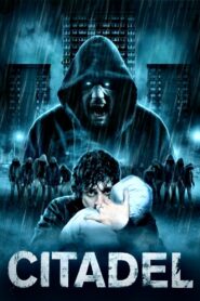 Citadel 2012 on netflix