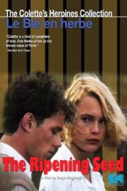The Ripening Seed 1990 on netflix