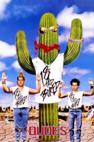 Dudes 1987 on netflix