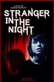 Stranger in the Night 2019 on netflix