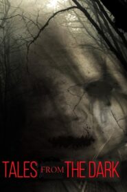 Tales From the Dark 2013 on netflix