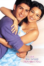 Uuf Kya Jadoo Mohobbat Hai 2004 on netflix
