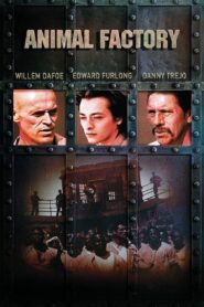 Animal Factory 2000 on netflix