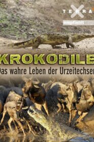 Crocodiles – The Private Life of Primeaval Reptiles 2011 on netflix