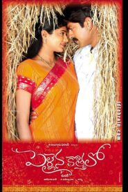 Pellaina Kothalo 2006 on netflix