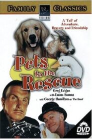 Pets 2002 on netflix