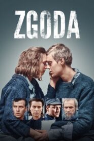 The Reconciliation 2017 on netflix