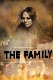 The Family 2016 on netflix