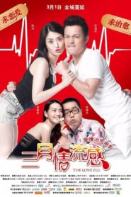 The Love Flu 2013 on netflix