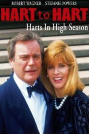 Hart to Hart: Harts in High Season 1996 on netflix