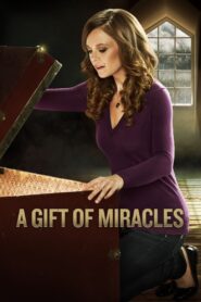 A Gift of Miracles 2015 on netflix