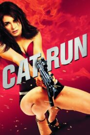 Cat Run 2011 on netflix