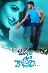 Oka Laila Kosam 2014 on netflix