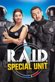 R.A.I.D. Special Unit 2017 on netflix