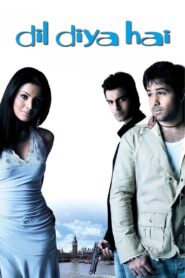 Dil Diya Hai 2006 on netflix