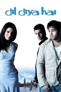 Dil Diya Hai 2006 on netflix