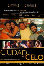 City in Heat 2007 on netflix