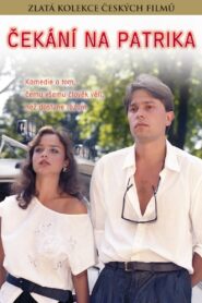 Waiting For Patrick 1990 on netflix