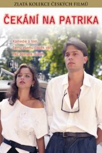 Waiting For Patrick 1990 on netflix