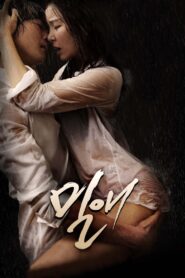 Affair 2014 on netflix