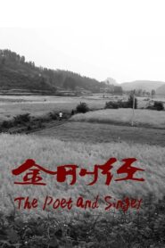 The Poet and Singer 2012 on netflix