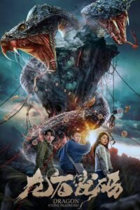 Dragon Stone Password 2024 on netflix