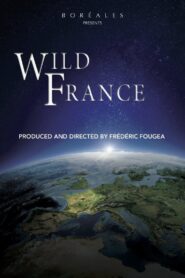 Wild France 2013 on netflix