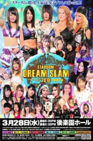 Stardom Dream Slam In Tokyo 2018 on netflix