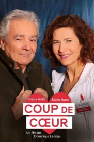 A Change of Heart 2015 on netflix