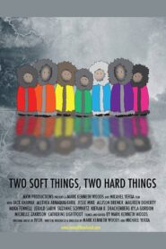 Two Soft Things, Two Hard Things 2016 on netflix