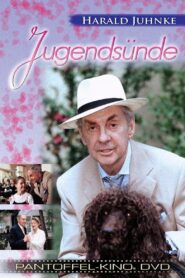 Jugendsünde 2000 on netflix