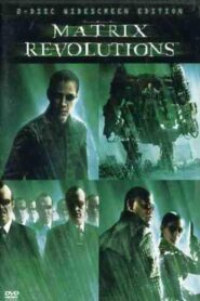 The Matrix Revolutions: Super Big Mini Models 2004 on netflix