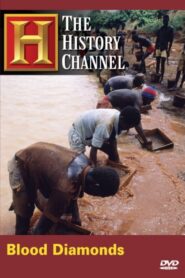 Blood Diamonds 2006 on netflix