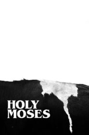 Holy Moses 2018 on netflix