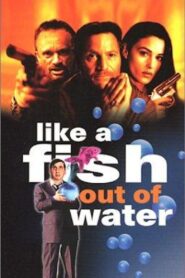 Like a Fish Out of Water 1999 on netflix