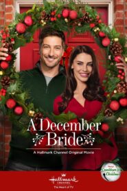 A December Bride 2016 on netflix