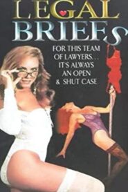 Legal Briefs 1993 on netflix
