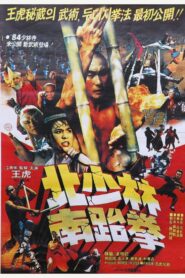 North Shaolin South Taekwon 1984 on netflix