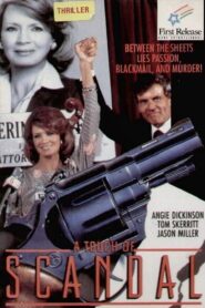 A Touch of Scandal 1984 on netflix