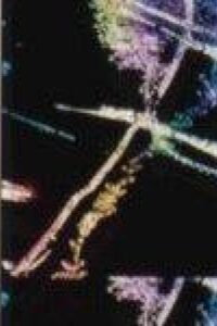 Cricket Requiem 1999 on netflix