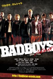 Badboys 2011 on netflix