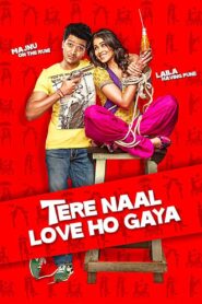 Tere Naal Love Ho Gaya 2012 on netflix
