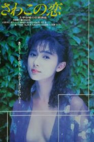 Love of Sawako 1990 on netflix